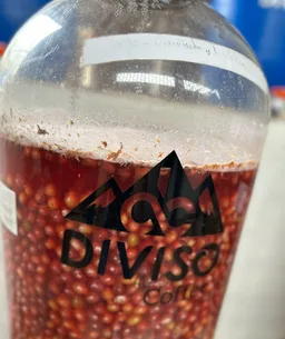 El Diviso coffee beans from Passport Specialty Coffee Roaster