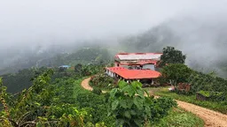 Finca Las Flores Ombligon coffee beans from Passport Specialty Coffee Roaster