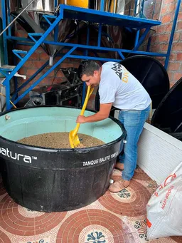 Finca Las Flores Sidra coffee beans from Passport Specialty Coffee Roaster