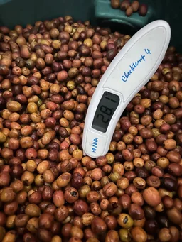 Mubuku Anaerobic Natural · Espresso coffee beans from Passport Specialty Coffee Roaster
