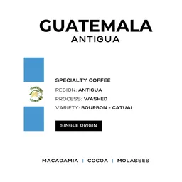 Antigua coffee beans from Patio Coffee Roasters