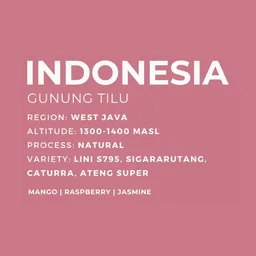 Gunung Tilu coffee beans from Patio Coffee Roasters
