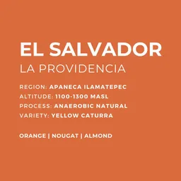 La Providencia coffee beans from Patio Coffee Roasters