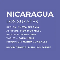 Los Suyates coffee beans from Patio Coffee Roasters