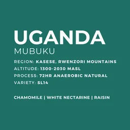 Mubuku coffee beans from Patio Coffee Roasters