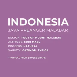 Preanger Malabar coffee beans from Patio Coffee Roasters