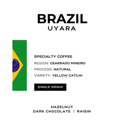 Uyara coffee beans from Patio Coffee Roasters