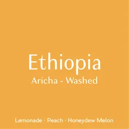 Aricha coffee beans from Prodigal Coffee Roasters