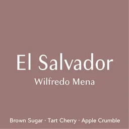 Wilfredo Mena coffee beans from Prodigal Coffee Roasters