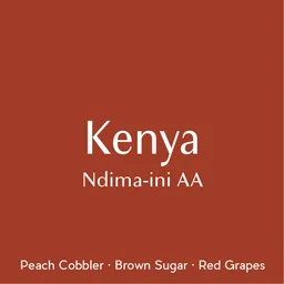 Ndima-ini coffee beans from Prodigal Coffee Roasters