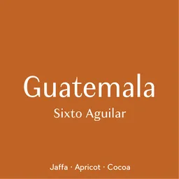 Sixto Aguilar coffee beans from Prodigal Coffee Roasters