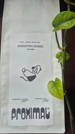 Sebastian Gomez Natural Process Castillo Varietal coffee beans from Proximal Coffee