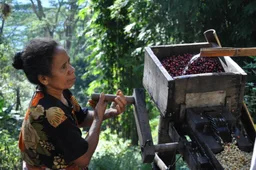 Leste Peaberry coffee beans from Q Roasters