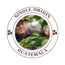 Guatemala coffee beans from Quists Coffee