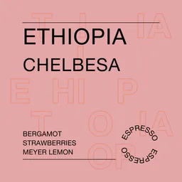 Chelbesa coffee beans from Reuben Hills