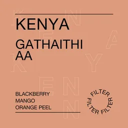 Gathaithi AA coffee beans from Reuben Hills