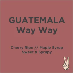 Way Way coffee beans from revs coffee