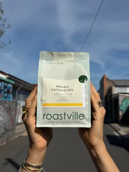 Catuai 2SL coffee beans from Roastville Coffee