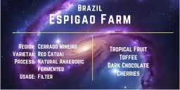 Espigao Farm coffee beans from Rocketeer Coffee Roasters ADL