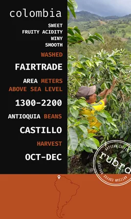 Colombia coffee beans from Rubra Coffee