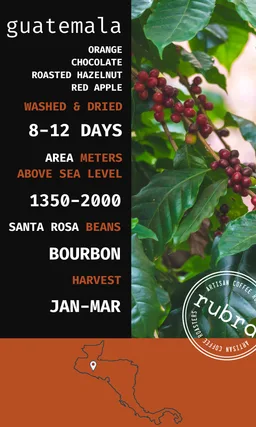 Guatemala · Filter coffee beans from Rubra Coffee