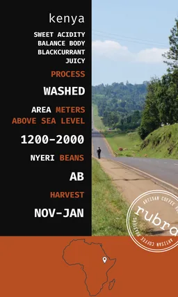 Kenya coffee beans from Rubra Coffee