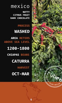 Mexico coffee beans from Rubra Coffee