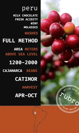Peru coffee beans from Rubra Coffee