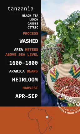 Tanzania coffee beans from Rubra Coffee