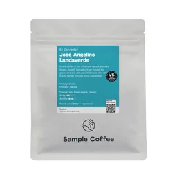 José Angelino Landaverde coffee beans from Sample Coffee Roasters