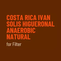 Ivan Solis Higueronal coffee beans from Schibello Coffee