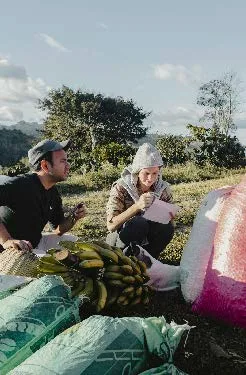 Finca Aurora coffee beans from Semi-Pro Coffee