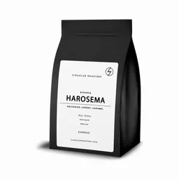 Harosema coffee beans from Singular Roasters