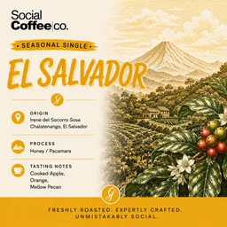El Salvador coffee beans from Social Coffee Cairns