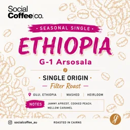 G-1 Arsosala coffee beans from Social Coffee Cairns