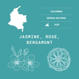Floral Symphony Natural Geisha coffee beans from Sparks Coffee Roasters