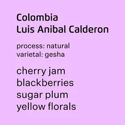 Luis Anibal Calderon coffee beans from Super Roast
