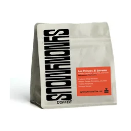 Los Pirineos coffee beans from Synonymous Coffee