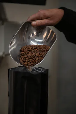 Costa Rican coffee beans from Tasmanian Coffee Roasters