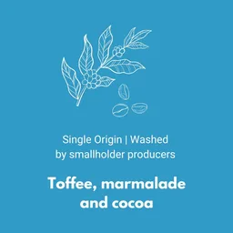 Decaf - Colombia coffee beans from Ten Talent Coffee
