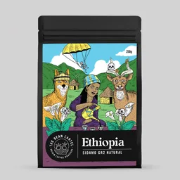 Sidamo Gr2 coffee beans from The Bean Cartel