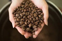 Barun Blend coffee beans from The Coffee Barun