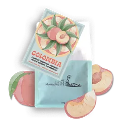 Campos Hermoso ~ Quindío Peach Mossto coffee beans from The Little Marionette