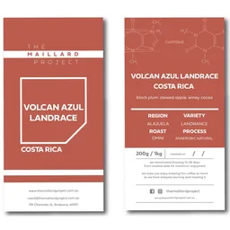 Volcan Azul Landrace coffee beans from The Maillard Project