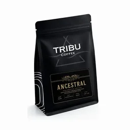 Ancestral coffee beans from Tribu Coffee