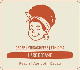 Haro Bedame coffee beans from Vice Coffee Roasters