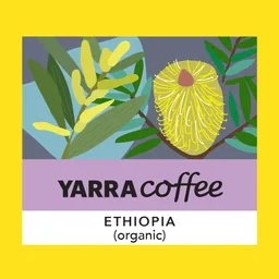 Organic Guji coffee beans from Yarra Coffee & Co